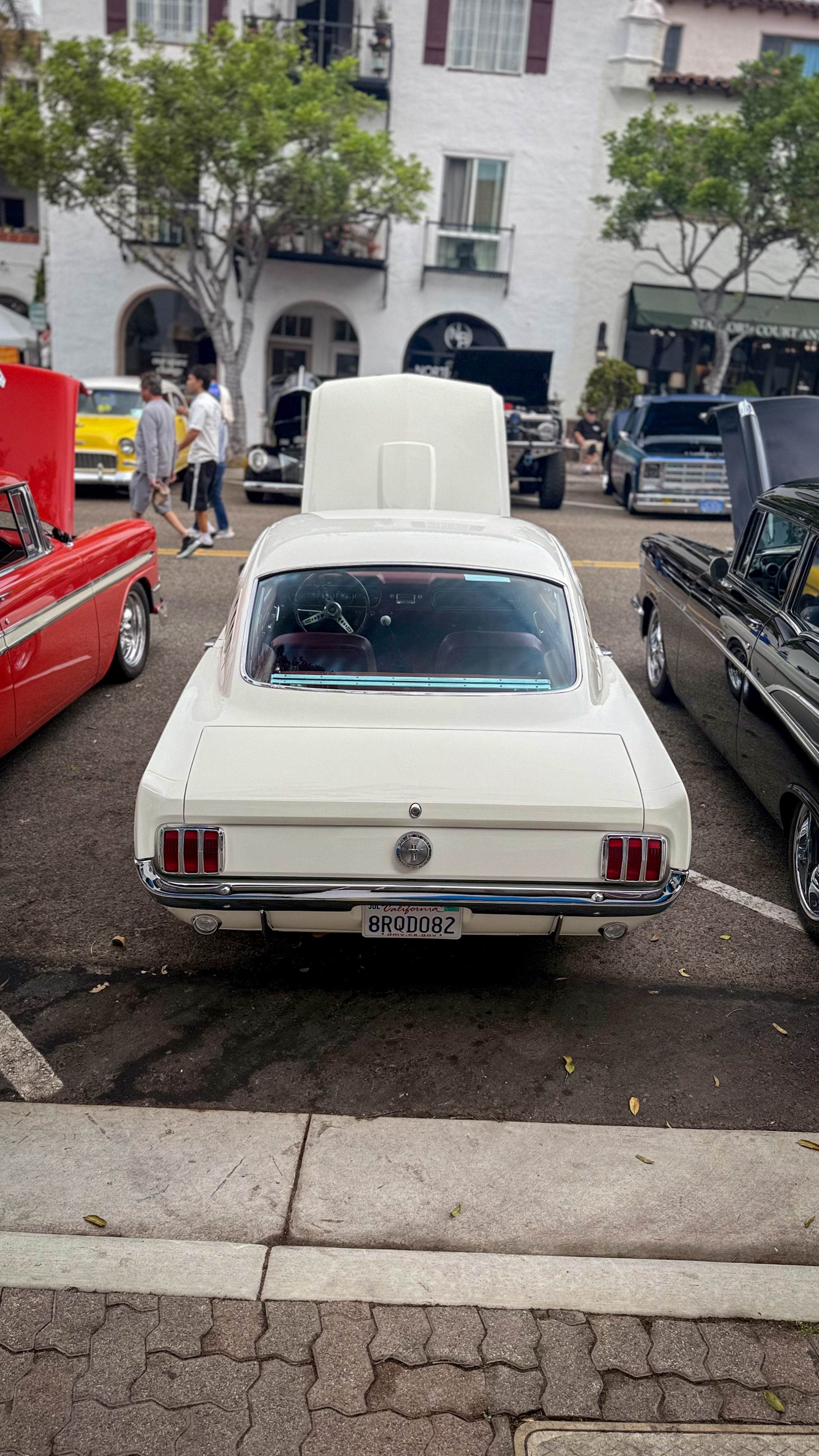 1966 Ford Mustang — Lineage Image 2