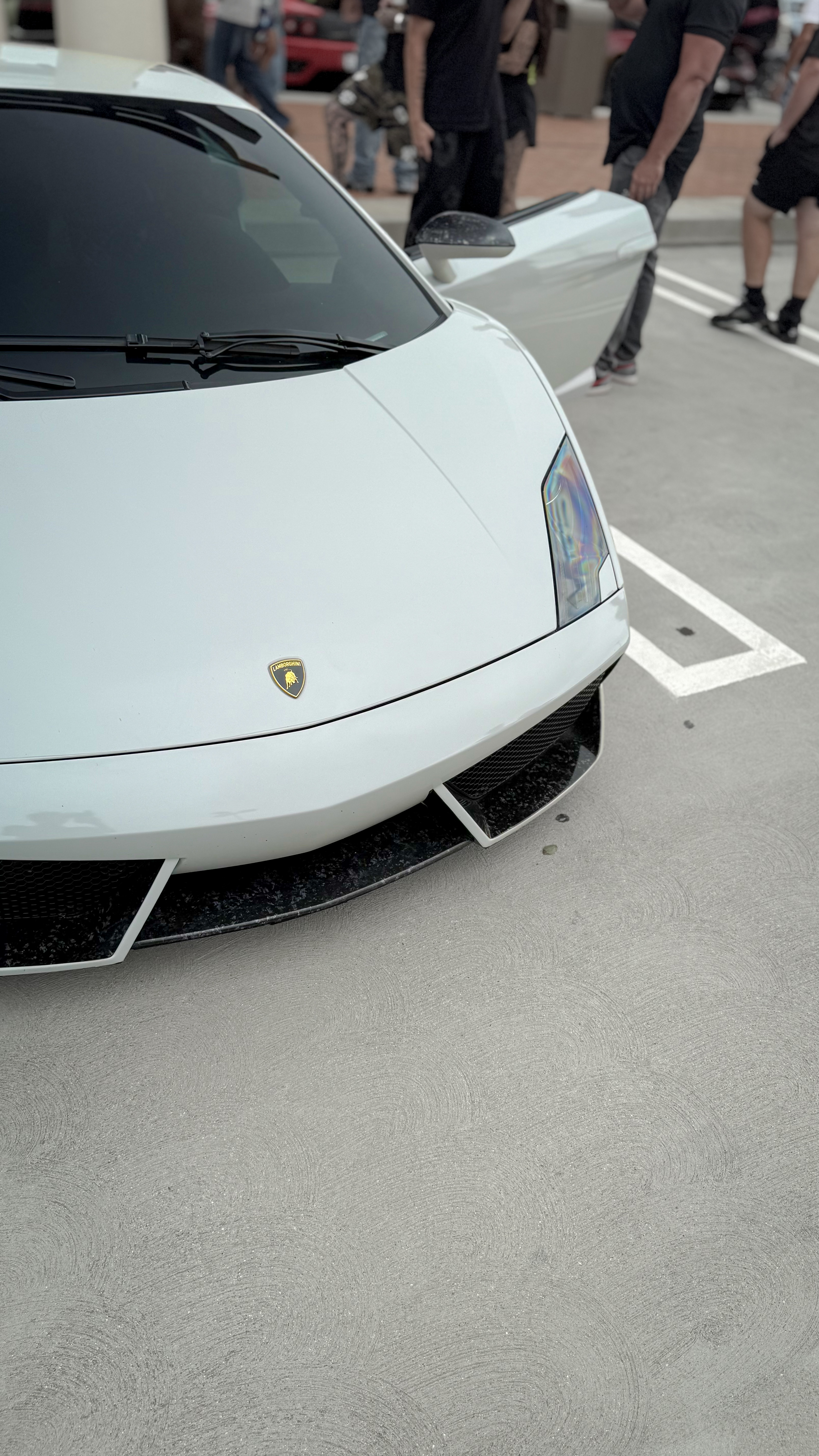 2009 Lamborghini Gallardo — Lineage Image 2