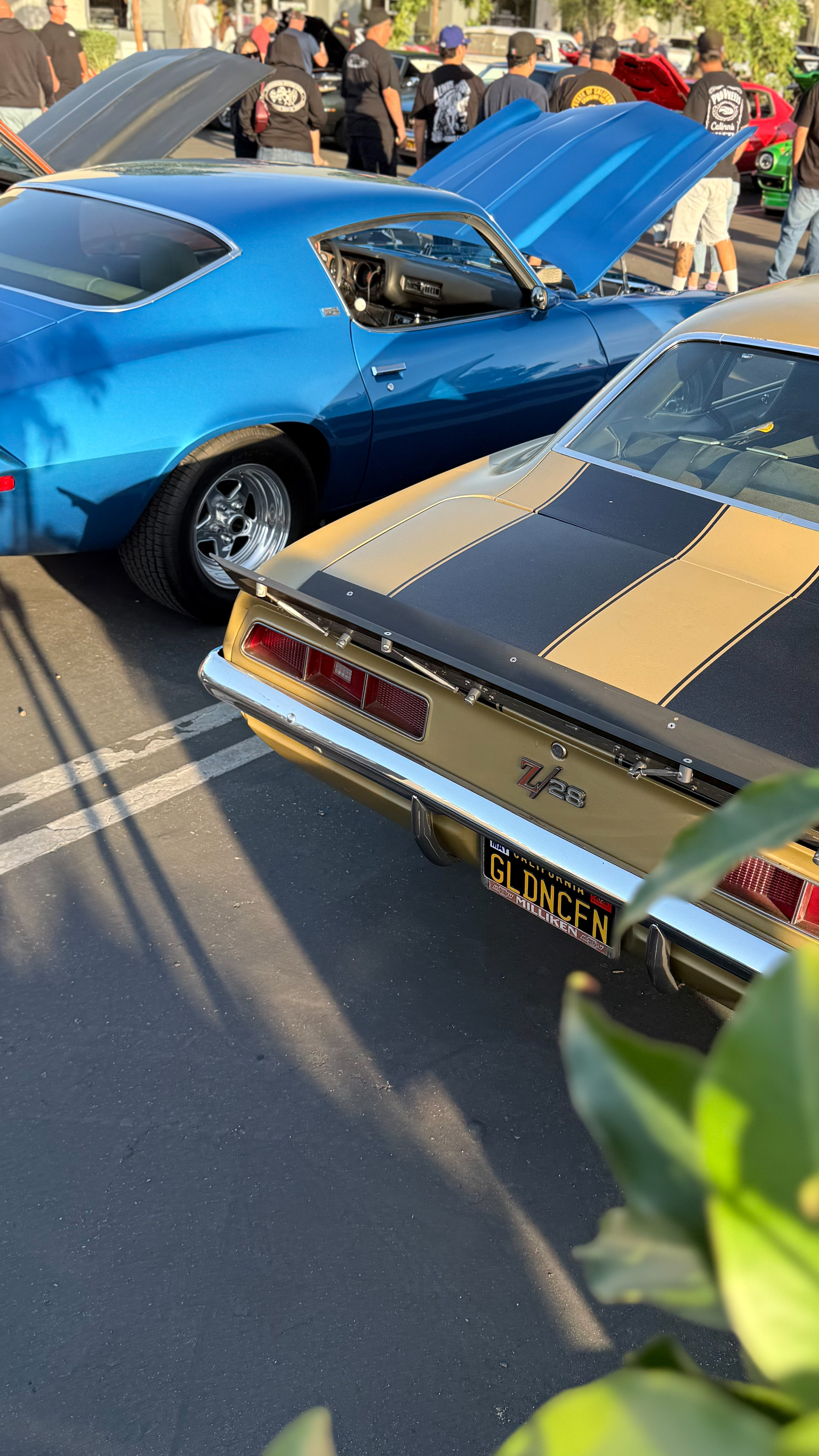 1969 Chevrolet Camaro — Lineage Image 2