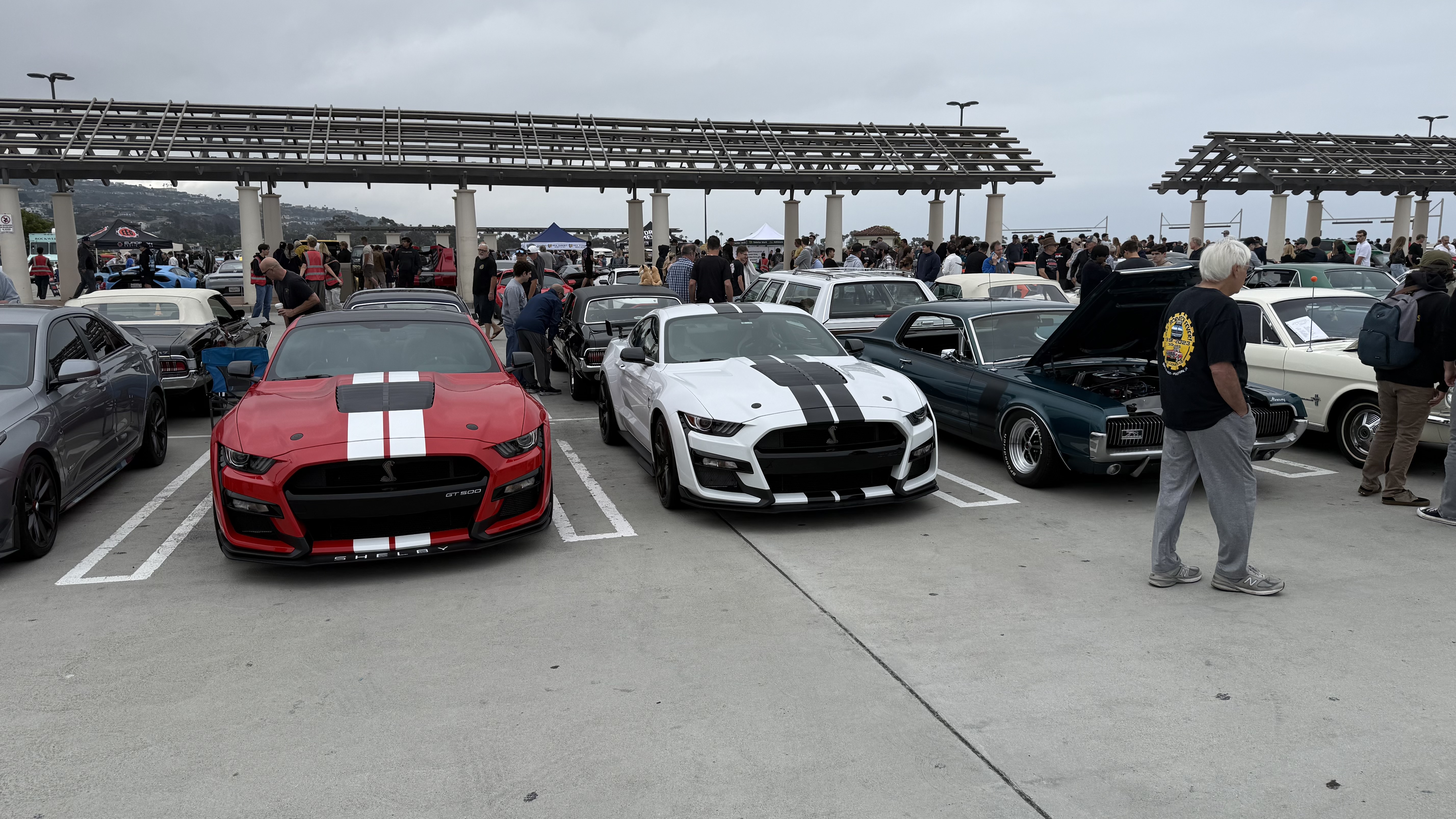 2022 Ford Mustang — Lineage Image 1
