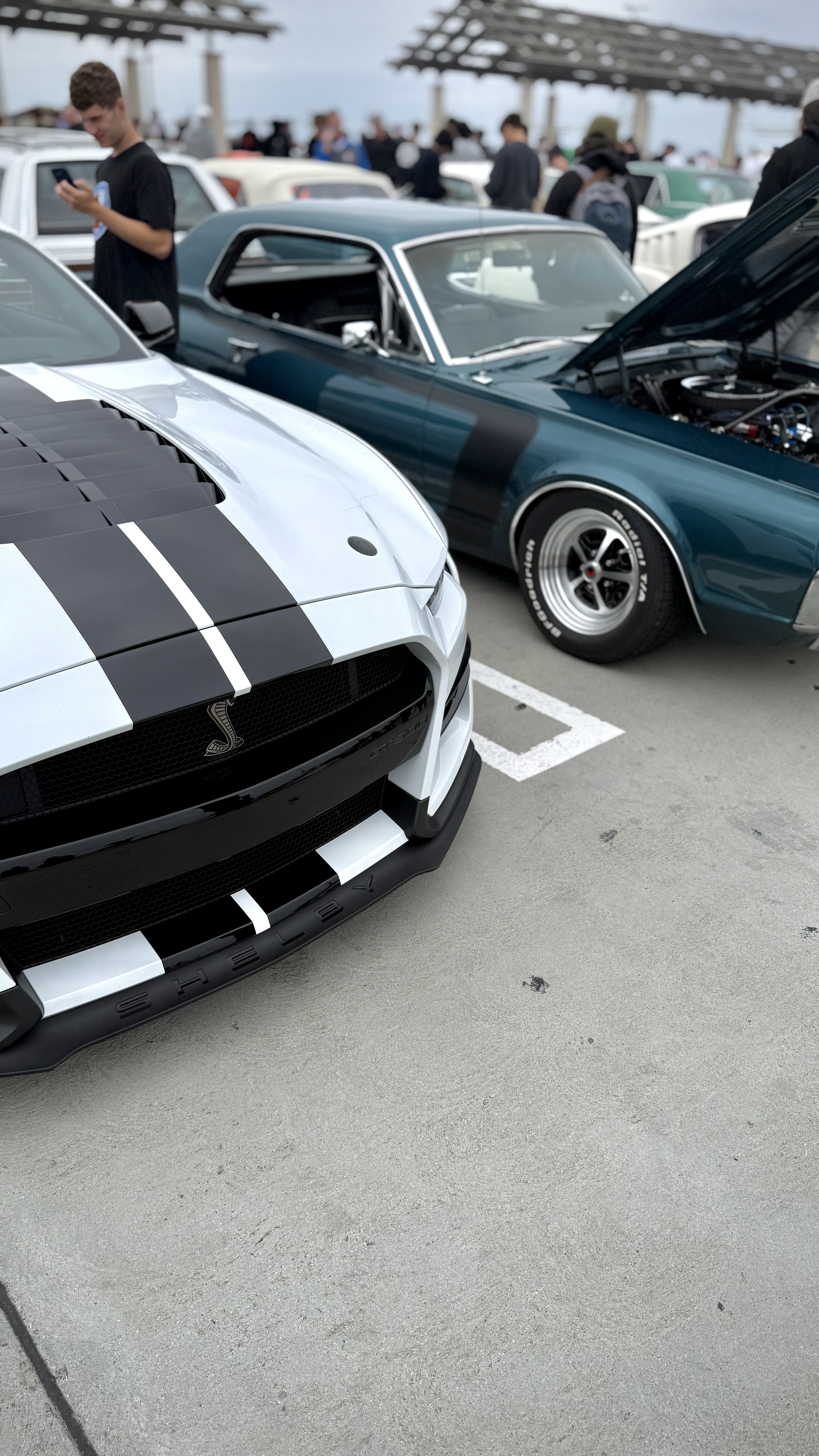2022 Ford Mustang — Lineage Image 2
