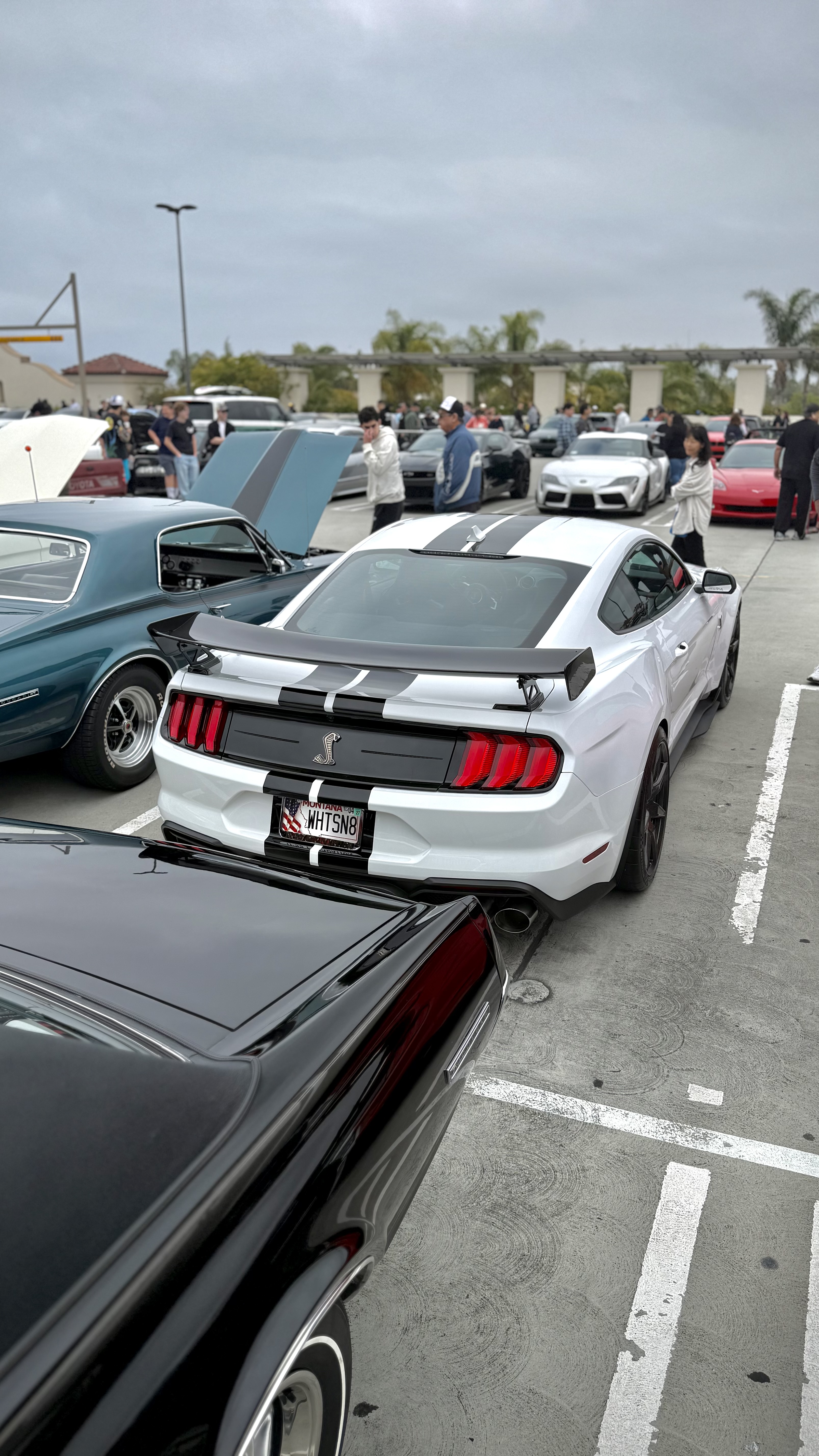 2022 Ford Mustang — Lineage Image 3